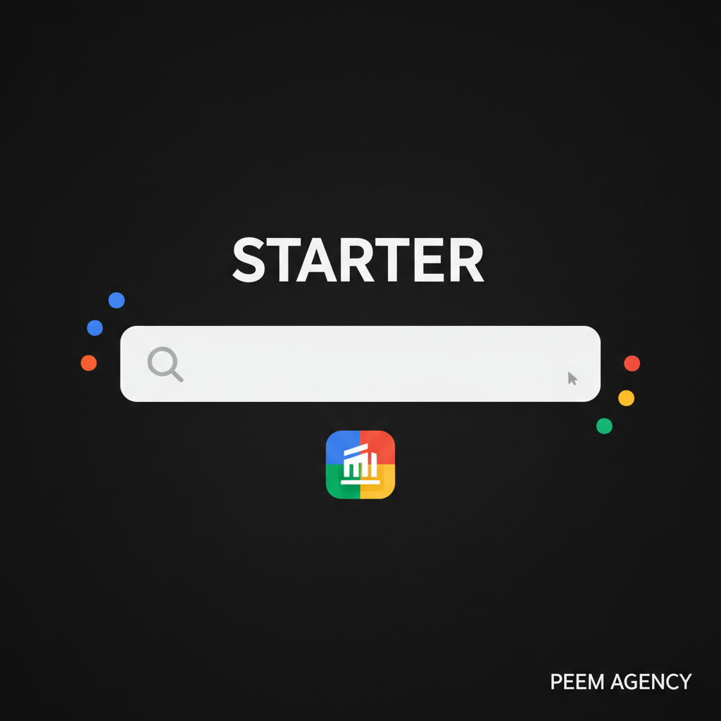Servizi Google – Peem Agency